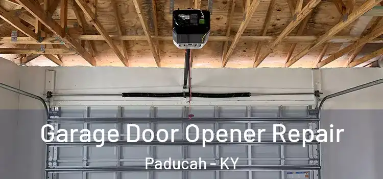 Garage Door Opener Repair Paducah - KY