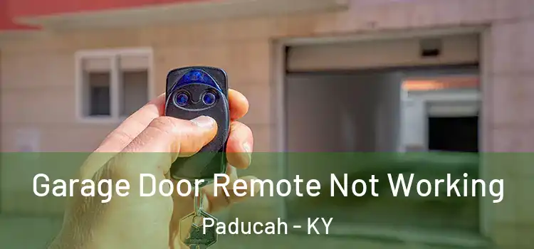  Garage Door Remote Not Working Paducah - KY