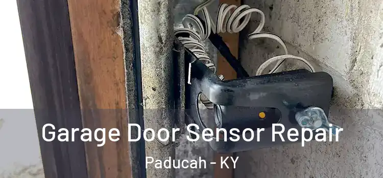  Garage Door Sensor Repair Paducah - KY