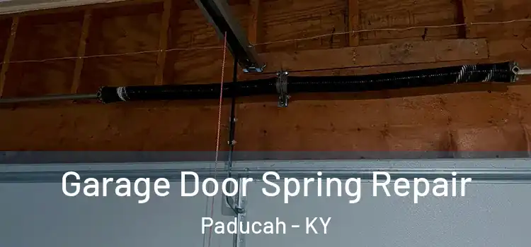  Garage Door Spring Repair Paducah - KY