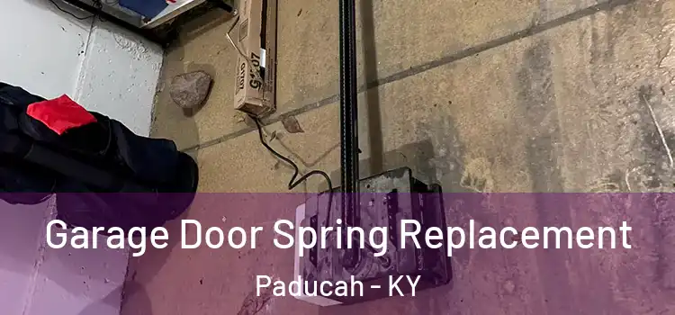 Garage Door Spring Replacement Paducah - KY