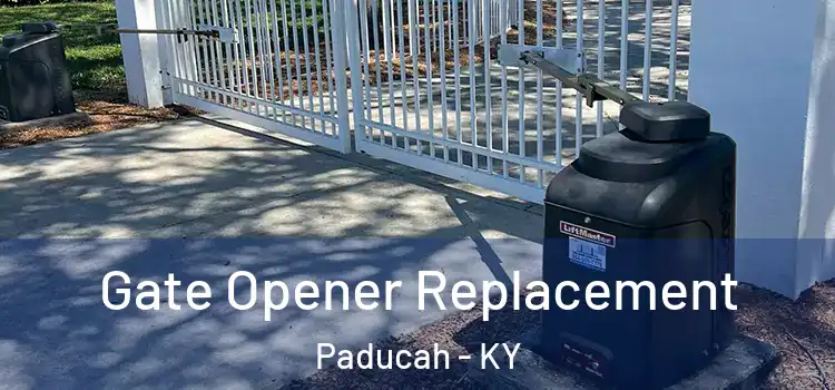 Gate Opener Replacement Paducah - KY