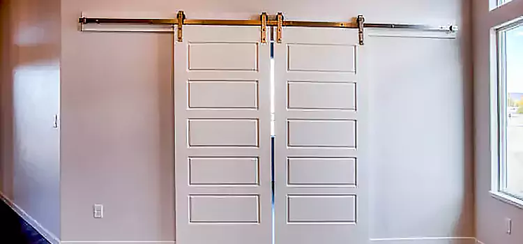 Glass Barn Door with Installation Hardware Kit Paducah