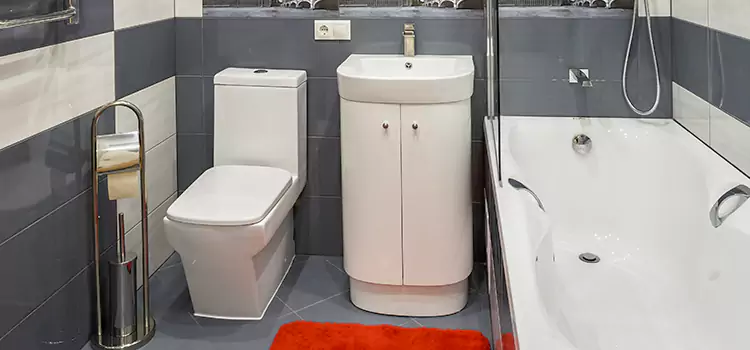 Hansgrohe Shaving Mirror Paducah